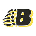 Burns Lake Minor Hockey