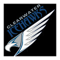 Clearwater Minor Hockey