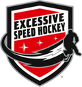 Excessive Speed Hockey